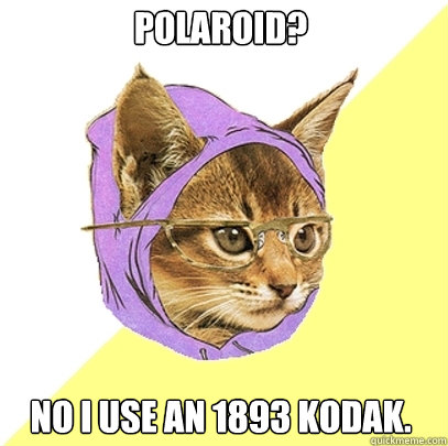 Polaroid? No I use an 1893 kodak.  Hipster Kitty