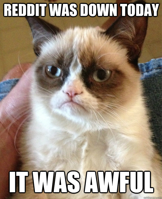reddit was down today it was awful - reddit was down today it was awful  Grumpy Cat