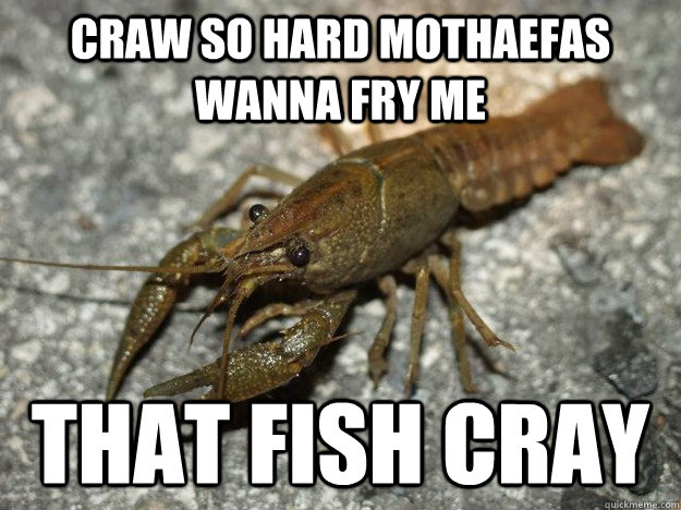 Craw so hard mothaefas wanna fry me that fish cray  that fish cray