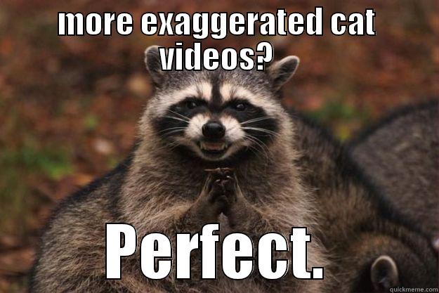 MORE EXAGGERATED CAT VIDEOS? PERFECT. Evil Plotting Raccoon