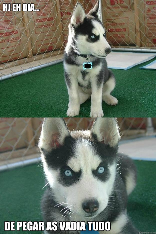 HJ EH DIA... DE PEGAR AS VADIA TUDO  Insanity puppy
