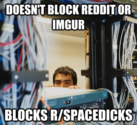 Doesn't block reddit or imgur blocks r/spacedicks  