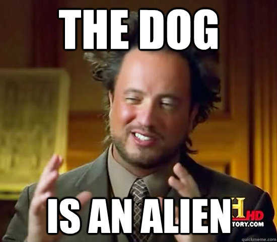 The dog is an alien  Ancient Aliens