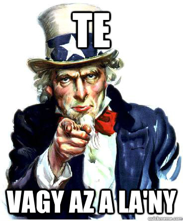 Te Vagy az a la'ny  Uncle Sam