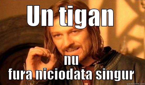 UN TIGAN NU FURA NICIODATA SINGUR Boromir