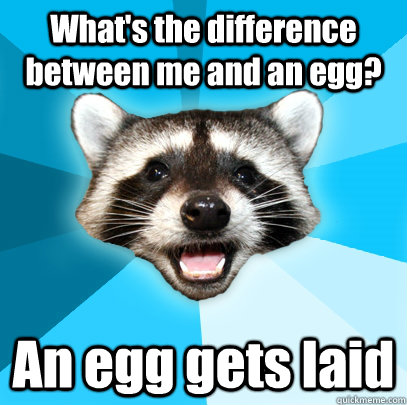What's the difference between me and an egg? An egg gets laid  Lame Pun Coon