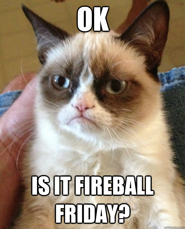 OK Is it fireball friday?  Grumpy Cat