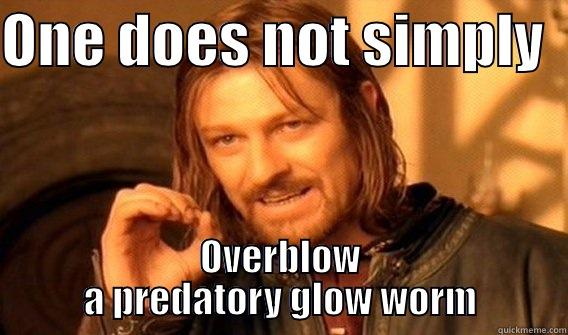 glow worm - ONE DOES NOT SIMPLY   OVERBLOW A PREDATORY GLOW WORM One Does Not Simply