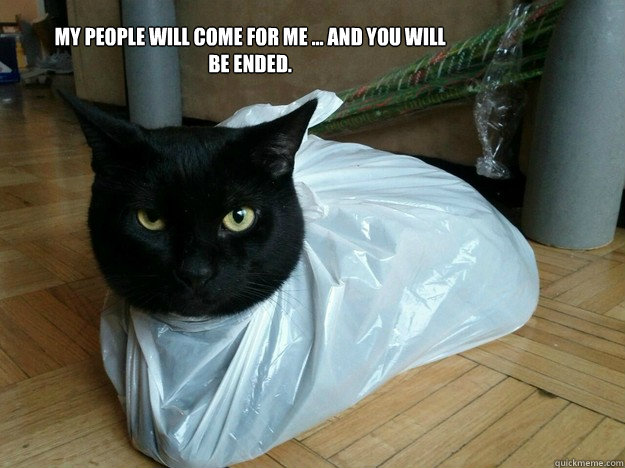 My people will come for me ... and you will be ended.  Hostage Cat
