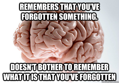 Remembers that you've forgotten something. Doesn't bother to remember what it is that you've forgotten  Scumbag Brain