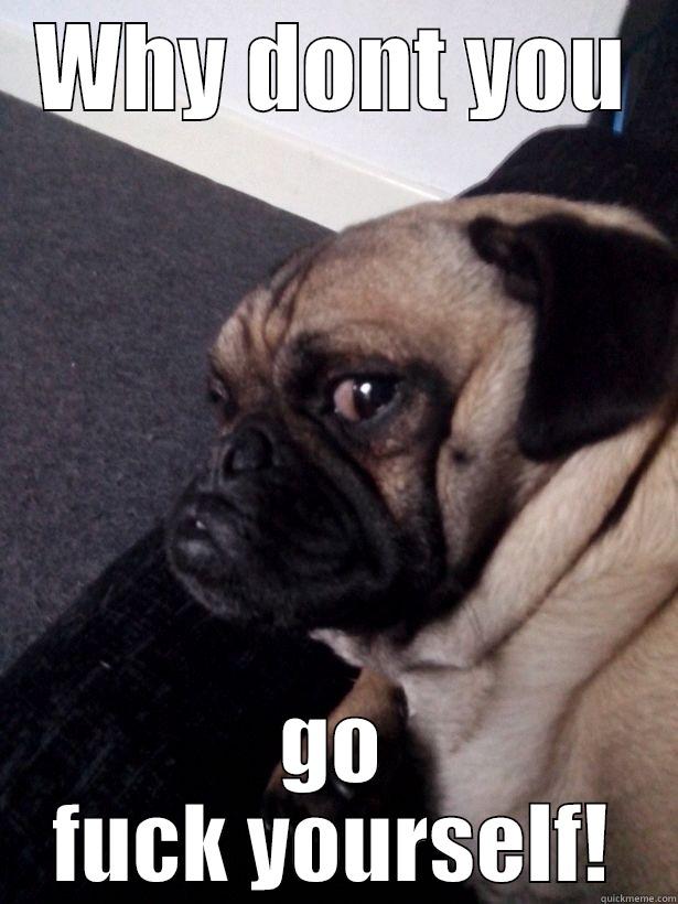 WHY DONT YOU GO FUCK YOURSELF! Misc