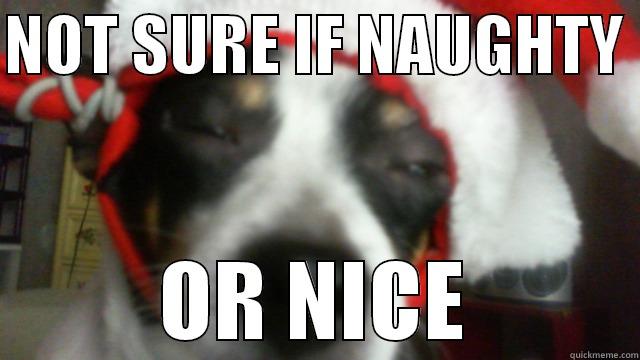 Not Sure Dog - NOT SURE IF NAUGHTY  OR NICE Misc