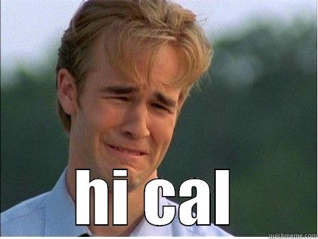  HI CAL 1990s Problems