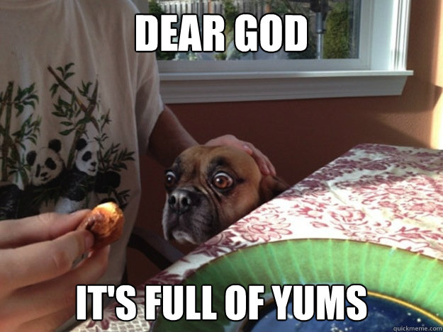 Dear God It's full of yums - Dear God It's full of yums  omgyum