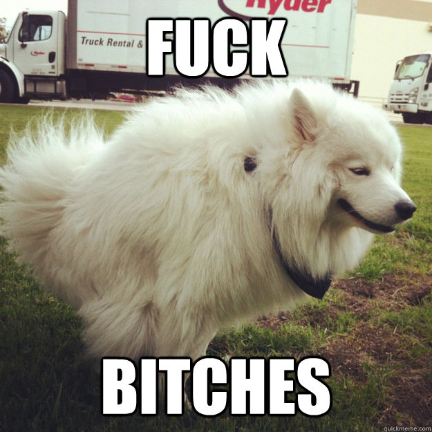 fuck bitches  