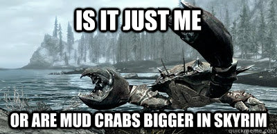 is it just me  or are mud crabs bigger in skyrim  goddamn mudcrabs
