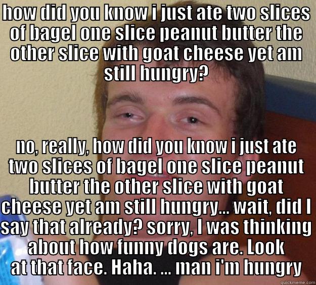 HOW DID YOU KNOW I JUST ATE TWO SLICES OF BAGEL ONE SLICE PEANUT BUTTER THE OTHER SLICE WITH GOAT CHEESE YET AM STILL HUNGRY? NO, REALLY, HOW DID YOU KNOW I JUST ATE TWO SLICES OF BAGEL ONE SLICE PEANUT BUTTER THE OTHER SLICE WITH GOAT CHEESE YET AM STILL HUNGRY... WAIT, DID I SAY THAT ALREADY? SORRY, I WAS THINKING ABOUT HOW FUNNY DOGS ARE. LOOK AT THAT FACE. HAHA. ... MAN I'M  10 Guy