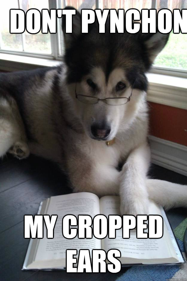 don't pynchon my cropped ears  Condescending Literary Pun Dog