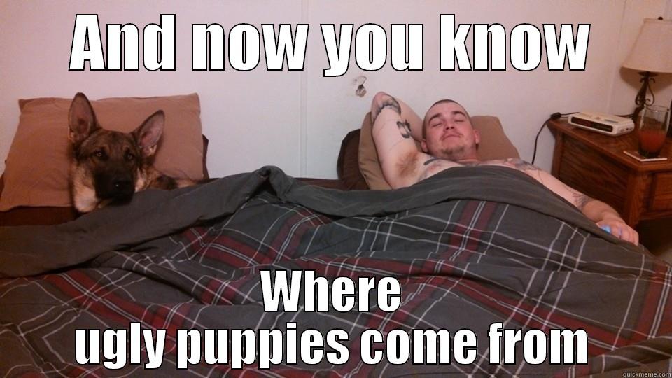 AND NOW YOU KNOW WHERE UGLY PUPPIES COME FROM Misc