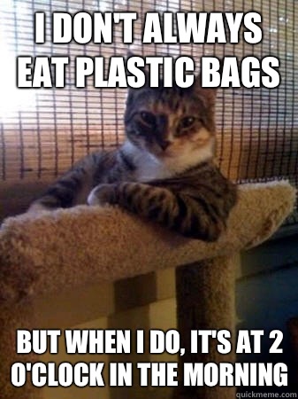 I don't always eat plastic bags but when I do, it's at 2 o'clock in the morning  The Most Interesting Cat in the World