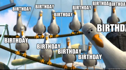 birthday birthday birthday birthday birthday birthday birthday birthday birthday birthday birthday - birthday birthday birthday birthday birthday birthday birthday birthday birthday birthday birthday  Nemo Seagulls