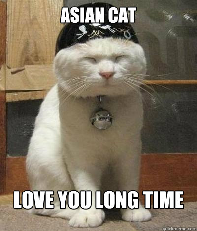 ASIAN CAT LOVE YOU LONG TIME - ASIAN CAT LOVE YOU LONG TIME  Rice Bowl Cat