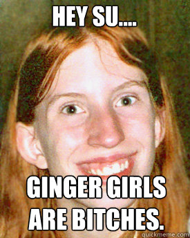 Hey Su.... Ginger girls are bitches. - Hey Su.... Ginger girls are bitches.  Ugly Ginger Girl