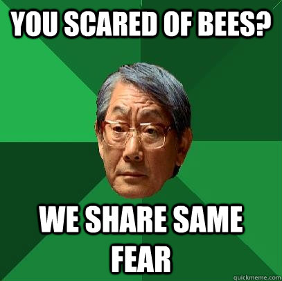 you scared of bees? we share same fear - you scared of bees? we share same fear  High Expectations Asian Father