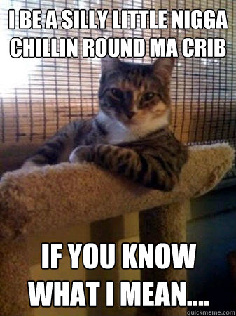 I be a silly little nigga chillin round ma crib If you know what I mean....  The Most Interesting Cat in the World