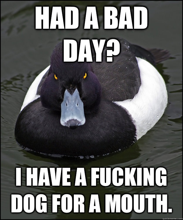 had a bad day? I have a fucking dog for a mouth.   Angry Advice Duck