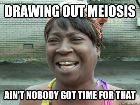 DRAWING OUT MEIOSIS Ain't Nobody Got Time For that   Sweet Brown Bronchitus