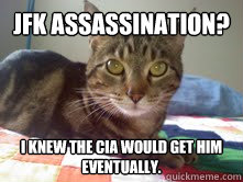 JFK assassination? I knew the CIA would get him eventually. - JFK assassination? I knew the CIA would get him eventually.  Government conspiracy cat
