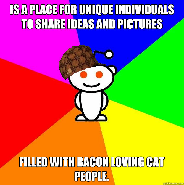 Is a place for unique individuals to share ideas and pictures Filled with bacon loving cat people.   Scumbag Redditor