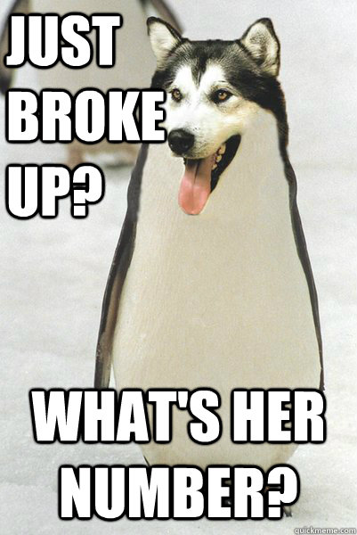 Just broke up? What's her number?  Courageously Awkward Wolf