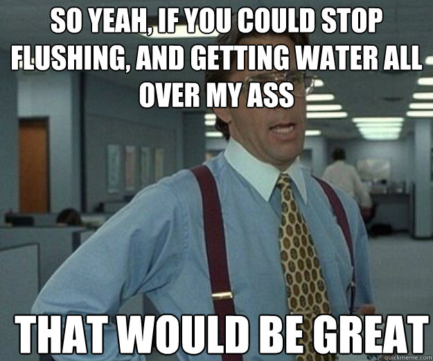 So yeah, if you could stop flushing, and getting water all over my ass THAT WOULD BE GREAT  that would be great