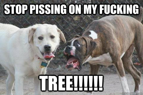 STOP PISSING ON MY FUCKING TREE!!!!!! - STOP PISSING ON MY FUCKING TREE!!!!!!  Shocked Dog
