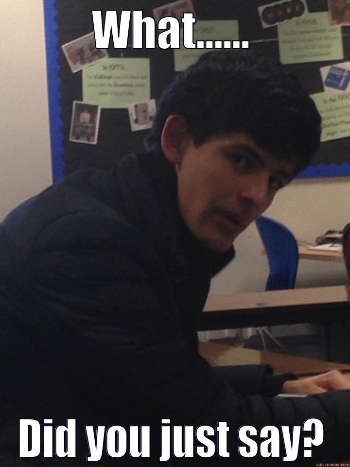 WHAT...... DID YOU JUST SAY? Misc