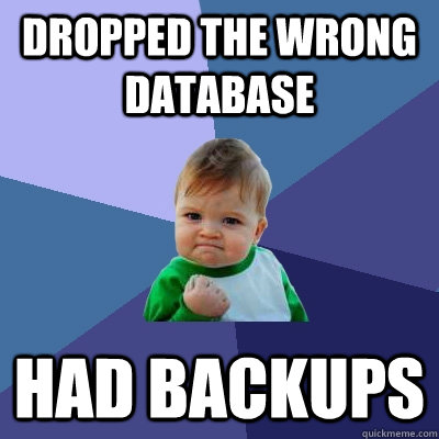 Dropped the Wrong Database Had Backups - Dropped the Wrong Database Had Backups  Success Kid