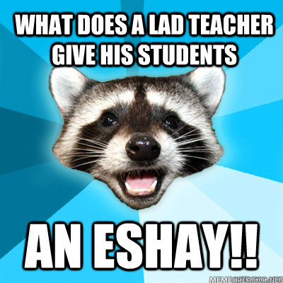 what does a lad teacher give his students AN ESHAY!!  Lame Pun Raccoon