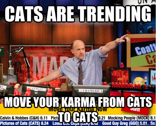 CATS are Trending Move your karma from cats to cats  move your karma now