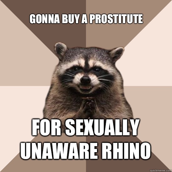 Gonna buy a prostitute  for sexually unaware rhino 
  Evil Plotting Raccoon
