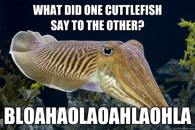 What did one cuttlefish 
say to the other? bloahaolaoahlaohla  Cuttlefish