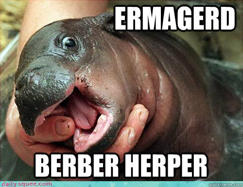 ermagerd berber herper  baby hippo
