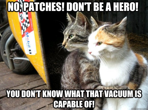 no, patches! don't be a hero! you don't know what that vacuum is capable of!  Restraining Cat