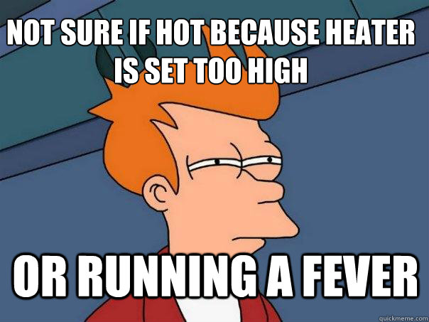 not sure if hot because heater is set too high or running a fever  Futurama Fry
