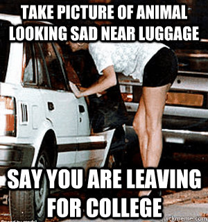 Take picture of animal looking sad near luggage Say you are leaving for college  Karma Whore
