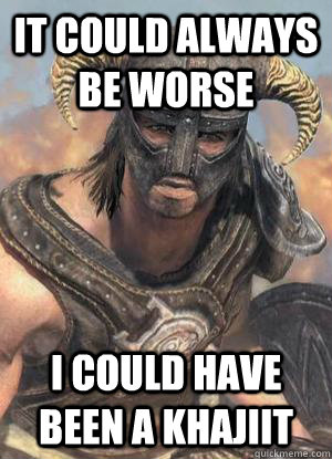 it could always be worse I could have been a khajiit  Scumbag low lvl Dovahkiin
