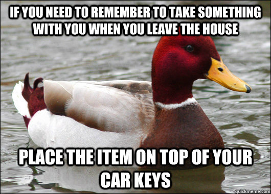 if you need to remember to take something with you when you leave the house place the item on top of your car keys  Malicious Advice Mallard