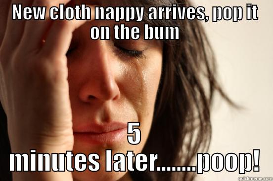 NEW CLOTH NAPPY ARRIVES, POP IT ON THE BUM 5 MINUTES LATER........POOP! First World Problems