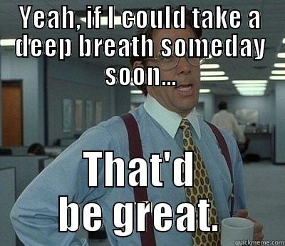 YEAH, IF I COULD TAKE A DEEP BREATH SOMEDAY SOON... THAT'D BE GREAT. Bill Lumbergh
